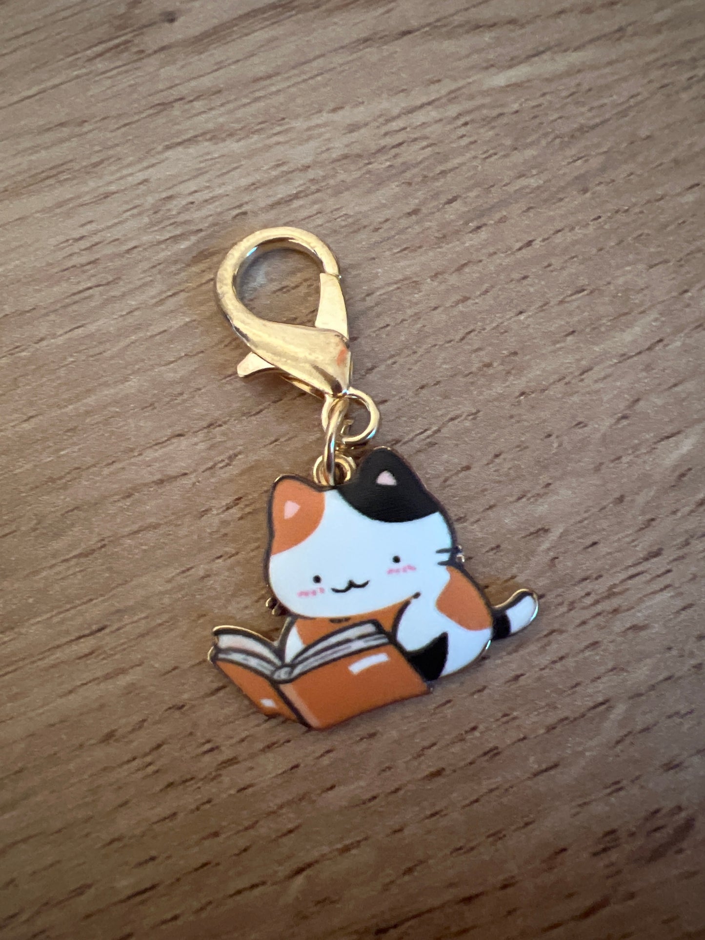 Porte-Clés - Chat lecture 🐾