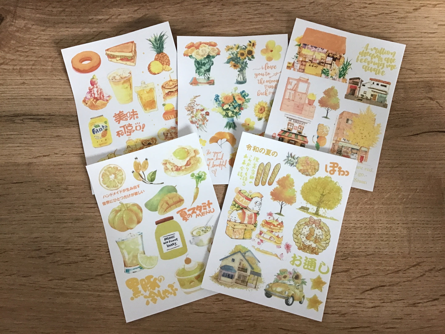 Stickers - Territoire du Monde 🌍