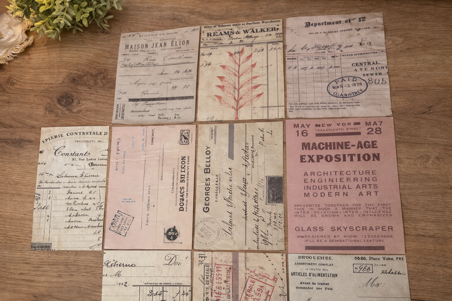 Scrapbooking - Elegant Legend ✂️