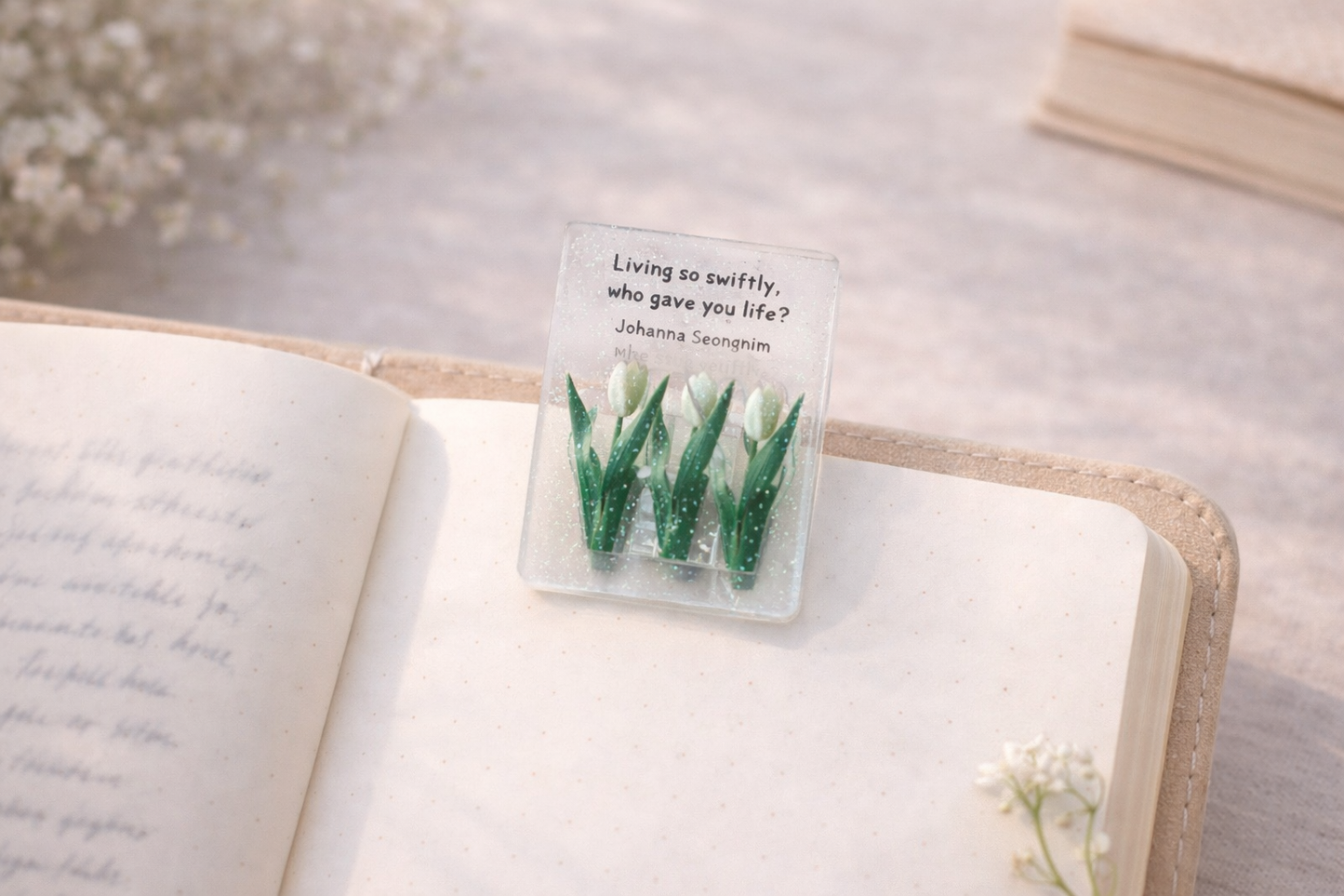 Clips – Champ Fleuri 🌷