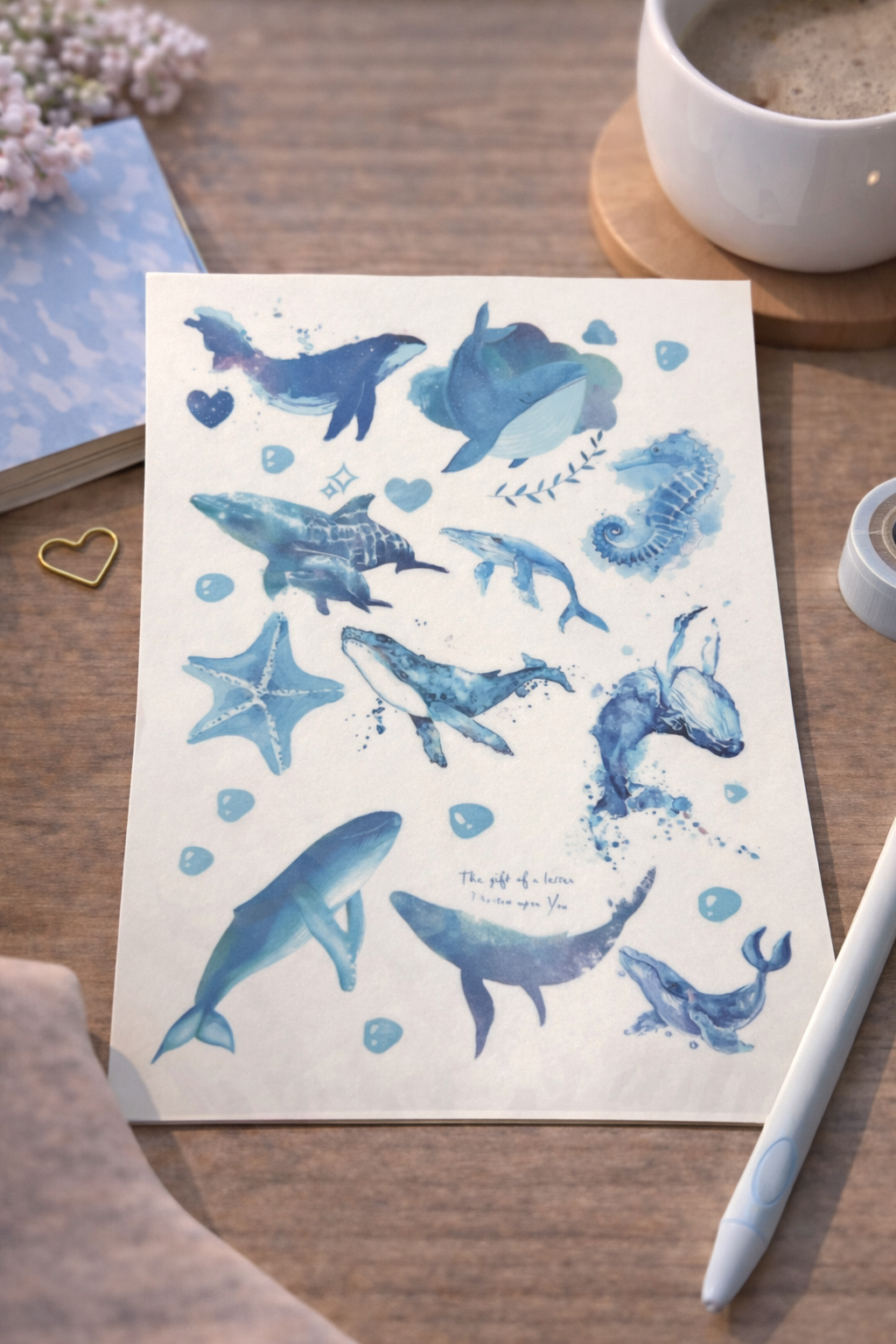 Stickers - Territoire du Monde 🌍