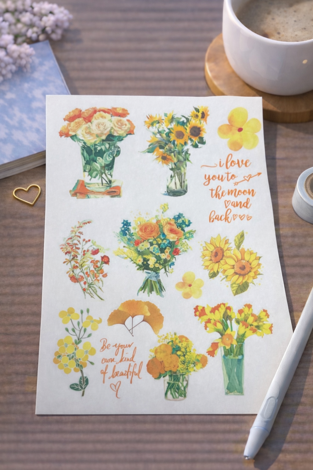 Stickers - Territoire du Monde 🌍